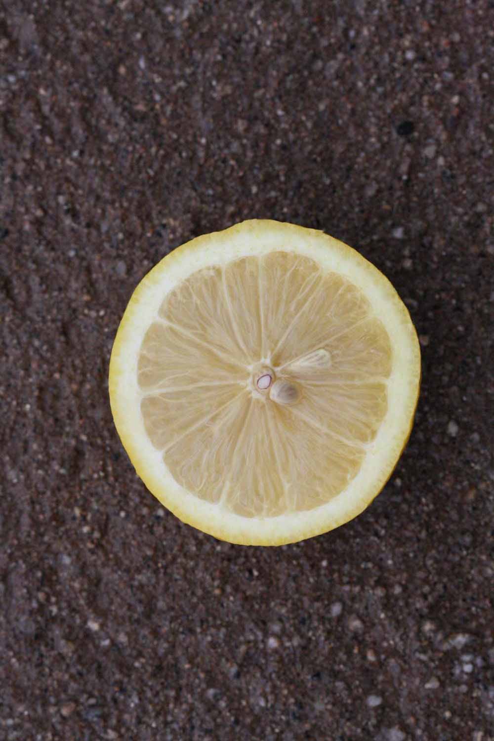            Fruit cross-section (Femminello Siracusano 2KR, Riverside,   CA)   